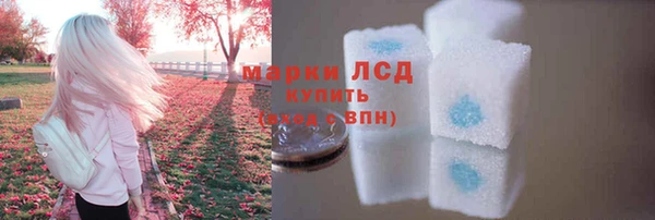 дживик Баксан