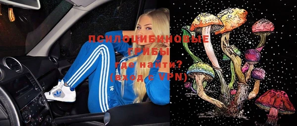 Альфа ПВП Белокуриха