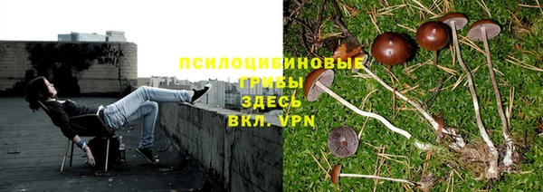 метадон Беломорск